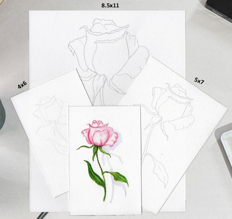 3 Pack Rose 4x6, 5x7, 8.5x11 Templates