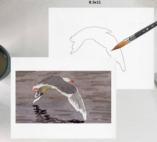 Low Flying Seagull 8.5x11 Template