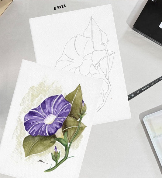 Purple Morning Glory 8.5x11 Template