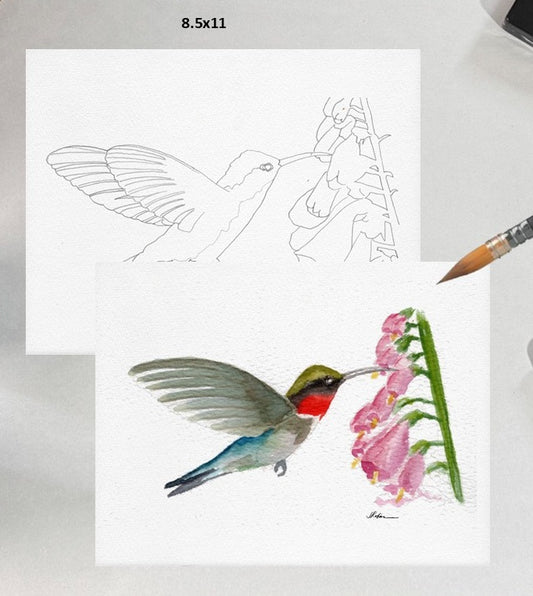 Humming Bird 8.5x11 Template