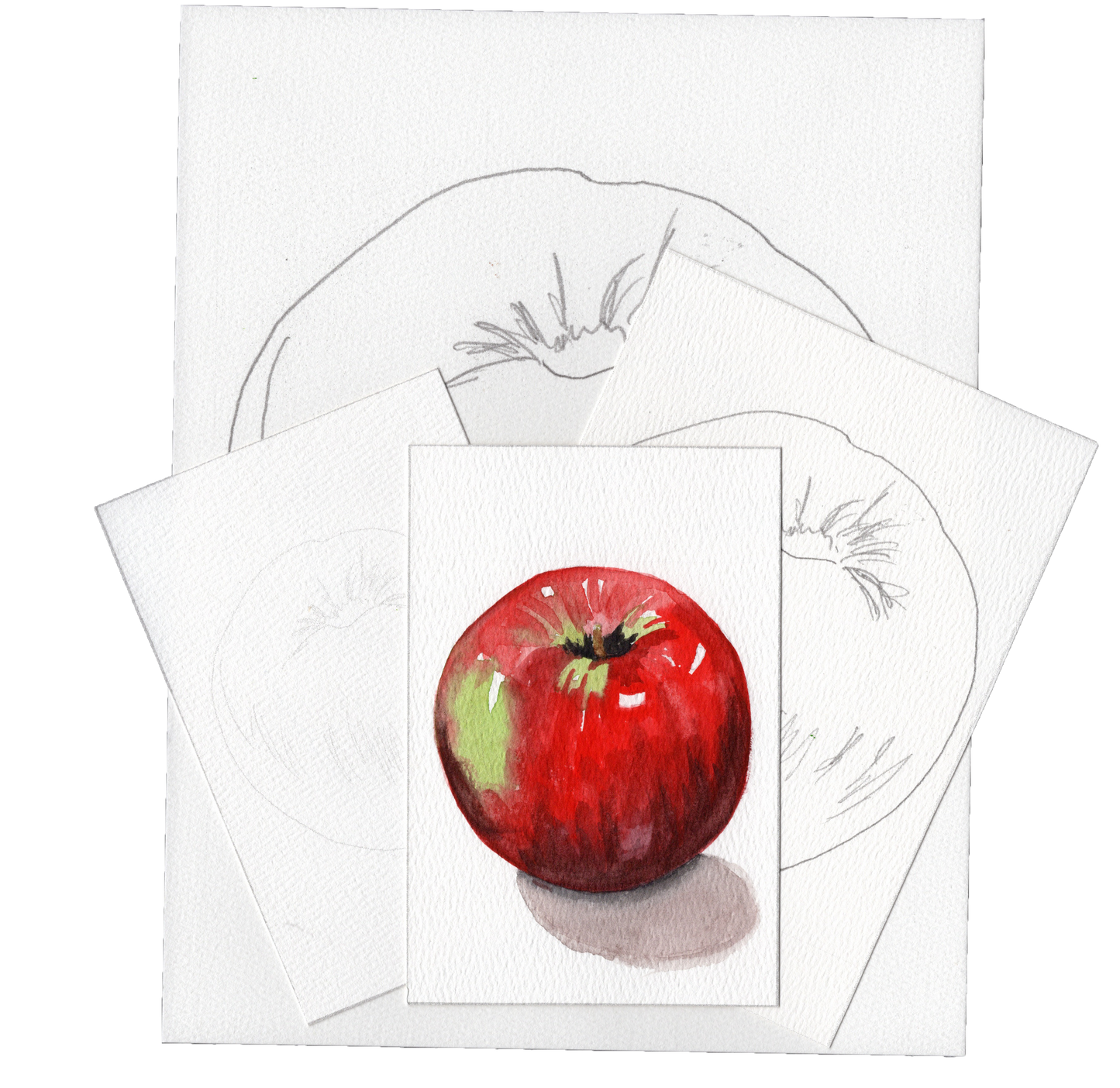 3 Pack Apples 4x6, 5x7 and 8.5x11 Templates