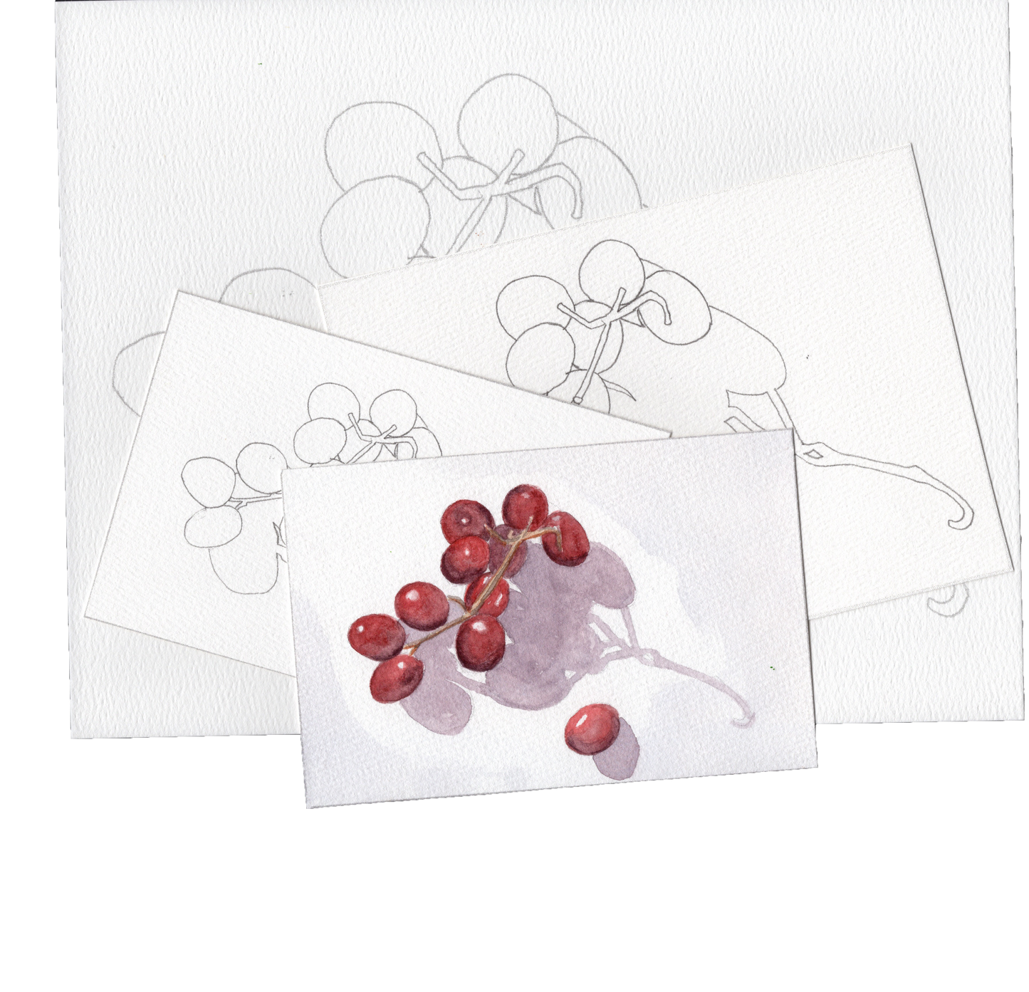 3 Pack Red Grapes 4x6, 5x7 and 8.5x11 Templates