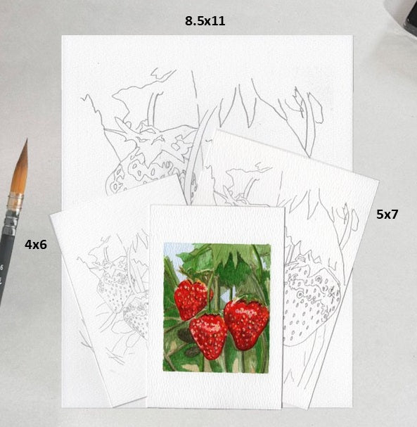 3 Pack Strawberries 4x6, 5x7 and 8.5x11 Templates