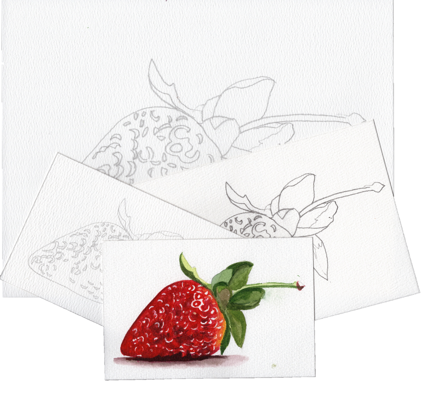 3 Pack Strawberry 4x6, 5x7 and 8.5x11 Templates