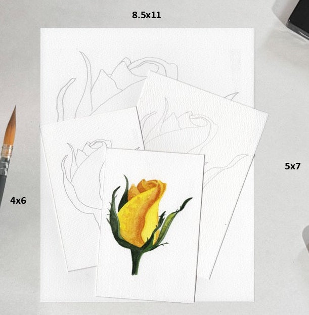 3 Pack Yellow Rose 4x6, 5x7 and 8.5x11 Templates