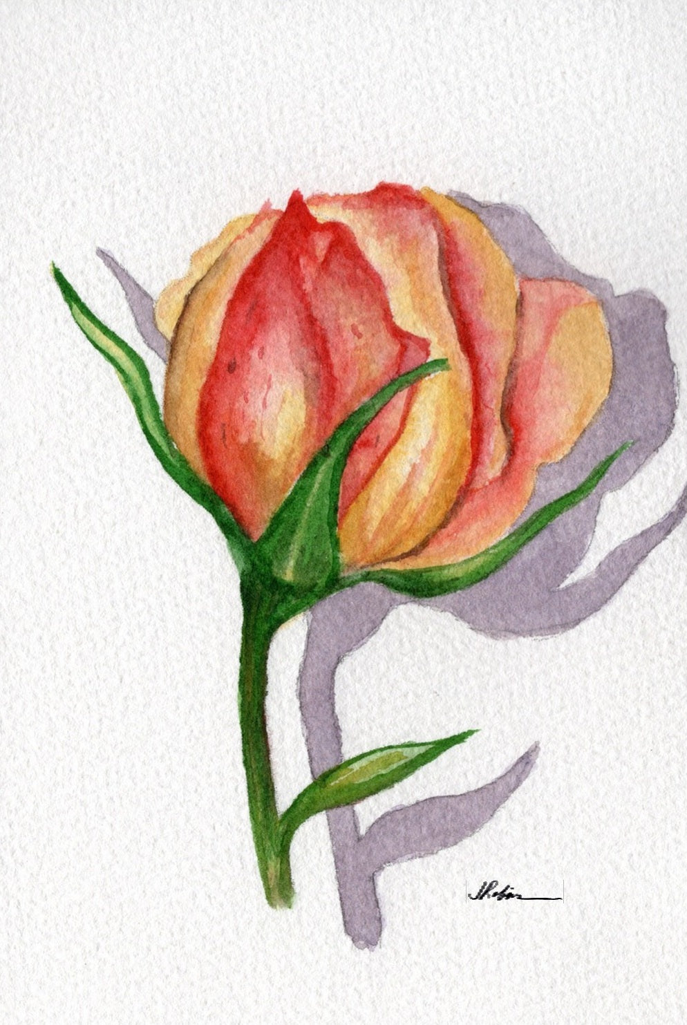 3 Pack 3 Floral 5x7 Templates #1