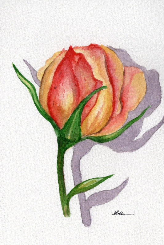3 Pack 3 Floral 5x7 Templates #1