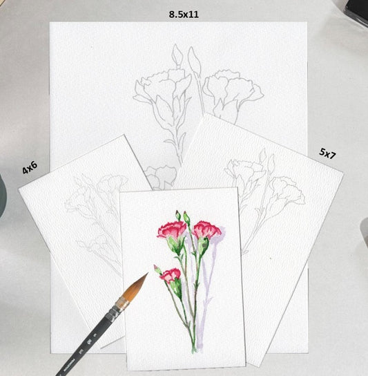 3 Pack Carnation 4x6,5x7,8.5x11 Templates