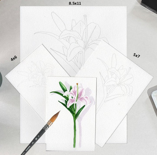 3 Pack Morning Glory 4x6, 5x7, 8.5x11 Templates