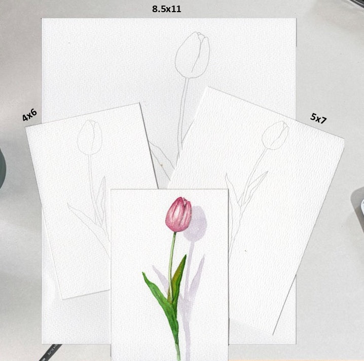 3 Pack Tulip 4x6, 5x7, 8.5x11 Templates