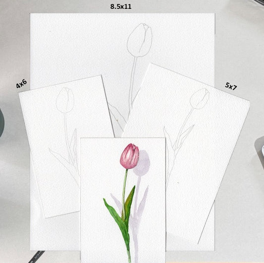 3 Pack Tulip 4x6, 5x7, 8.5x11 Templates