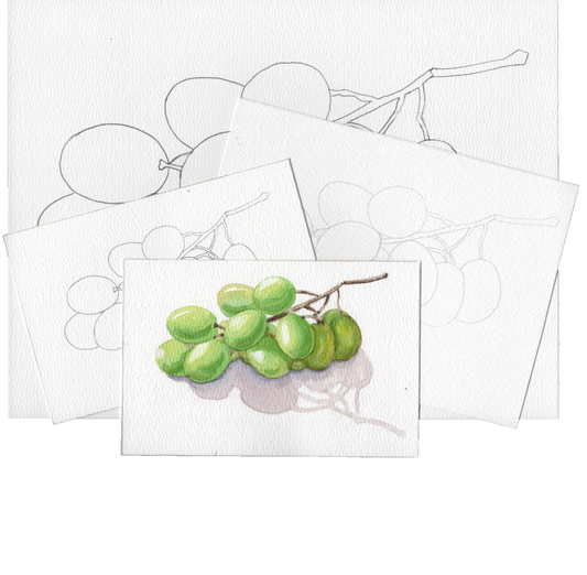 3 Pack Green Grapes 4x6, 5x7 and 8.5x11 Templates