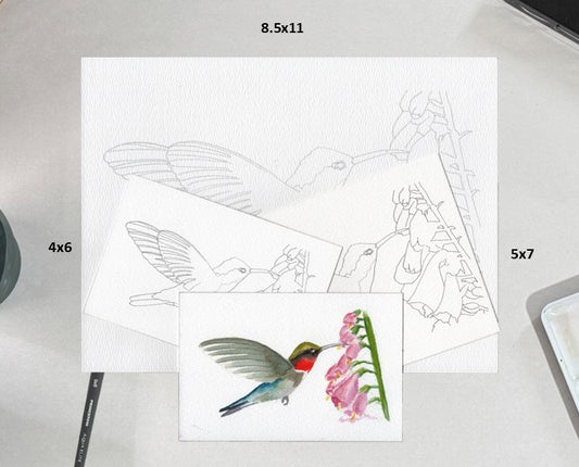 3 Pack Humming Bird 4x6, 5x7 and 8.5x11 Templates