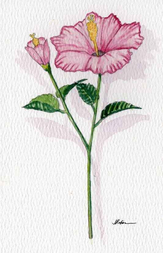 3 Pack 3 Floral 5x7 Templates #2