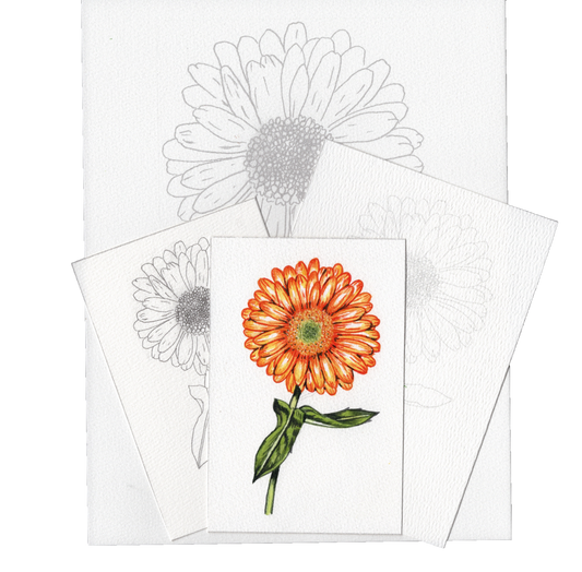 3 Pack Orange Flower Botanical 4x6, 5x7 and 8.5x11 Templates