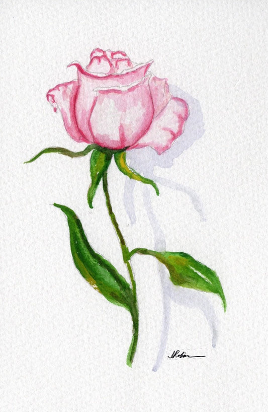 3 Pack 3 Floral 5x7 Templates #3