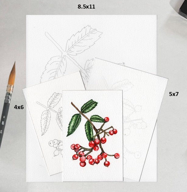 3 Pack Red Berries 4x6, 5x7 and 8.5x11 Templates