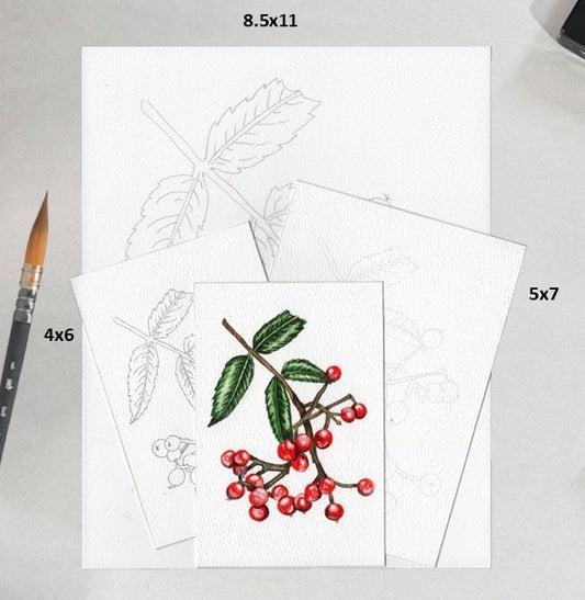 3 Pack Red Berries 4x6, 5x7 and 8.5x11 Templates