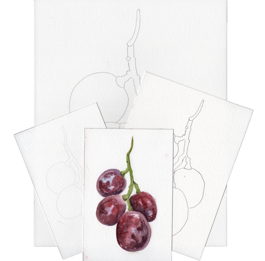 3 Pack Small Bunch of Grapes 4x6, 5x7 and 8.5x11 Templates