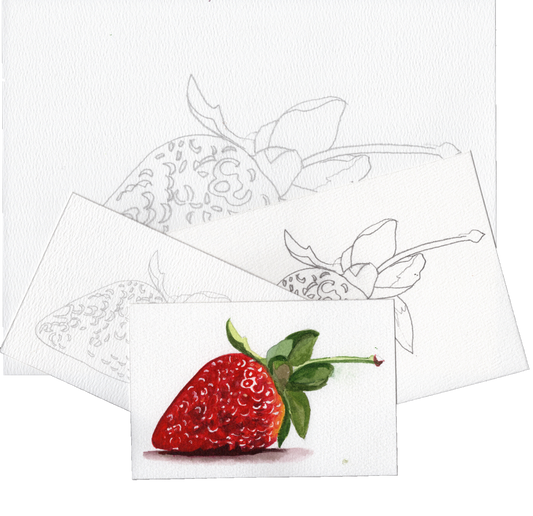 3 Pack Strawberry 4x6, 5x7 and 8.5x11 Templates
